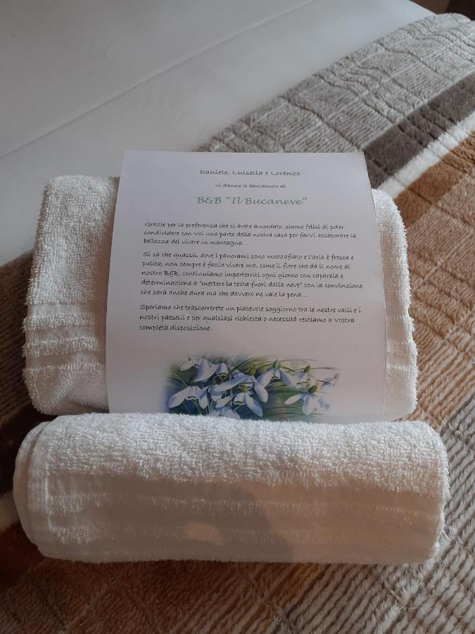B&B Il Bucaneve Санто Стефано ди Кадоре Екстериор снимка
